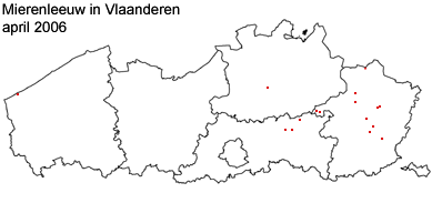 mierenleeuw_iv2006